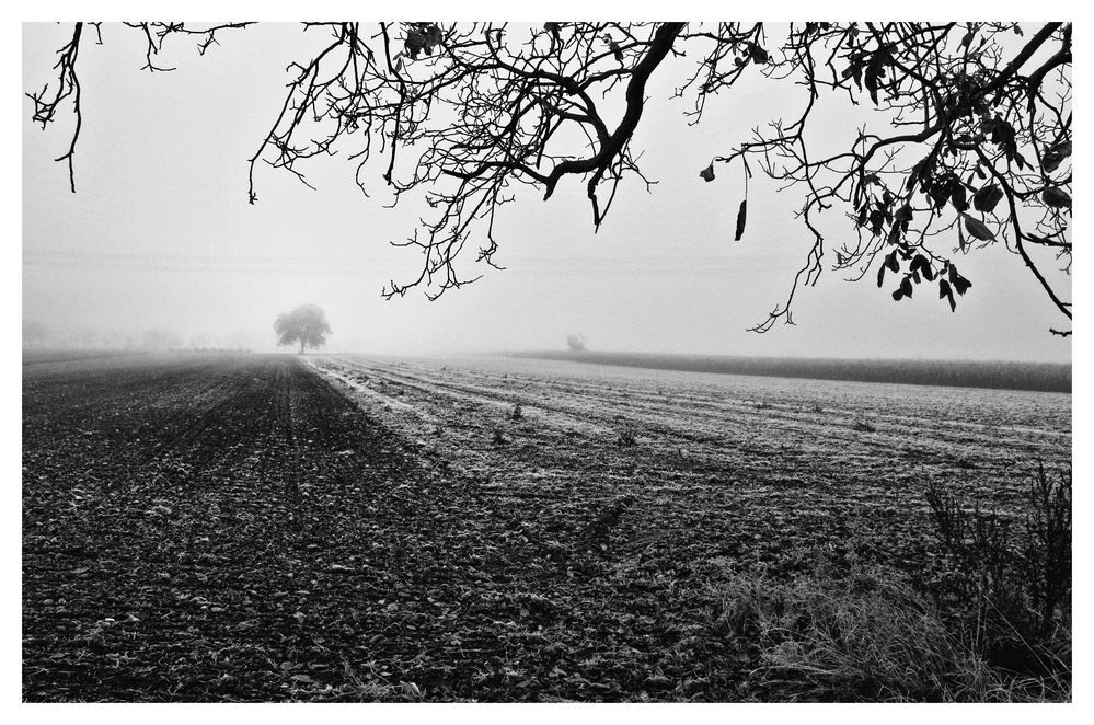 Herbstlandschaft