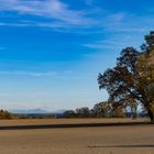 Herbstlandschaft