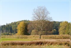 Herbstlandschaft.