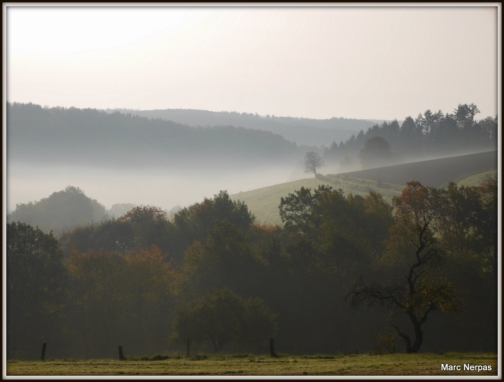 Herbstlandschaft