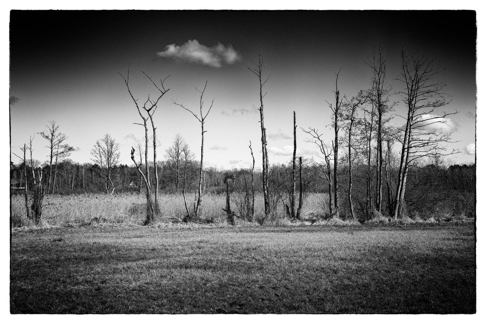 Herbstlandschaft