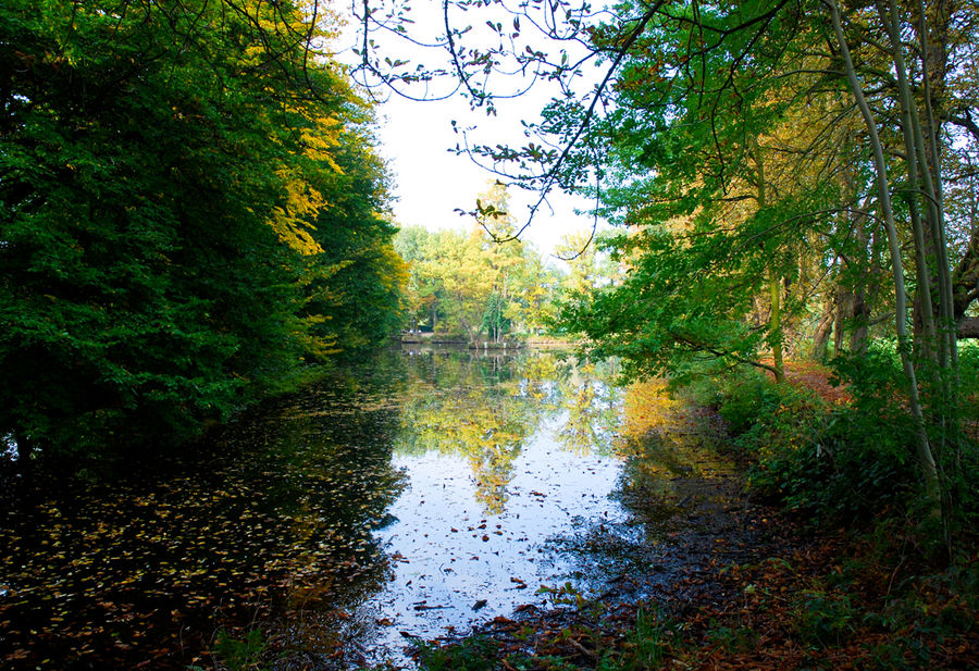 Herbstlandschaft