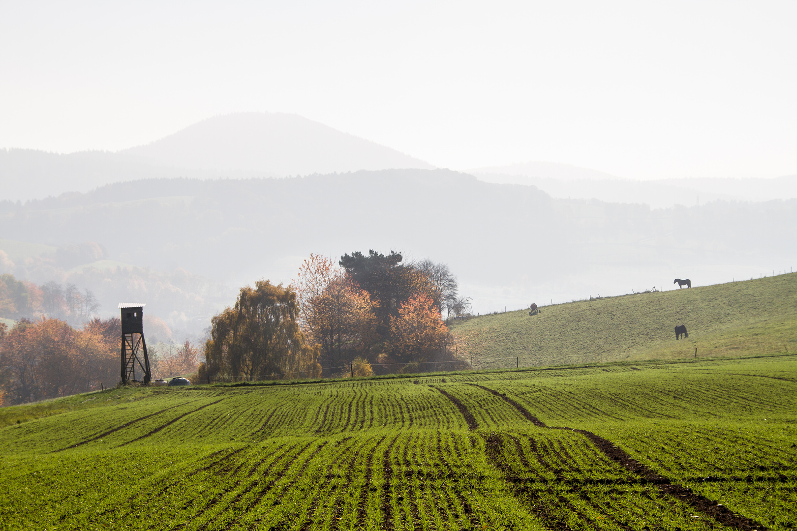 herbstlandschaft