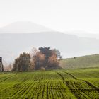 herbstlandschaft