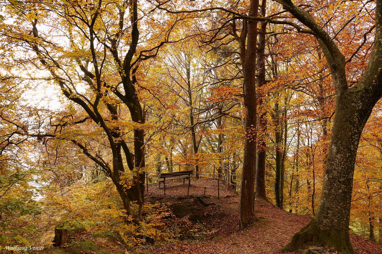 Herbstlandschaft 