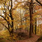 Herbstlandschaft 