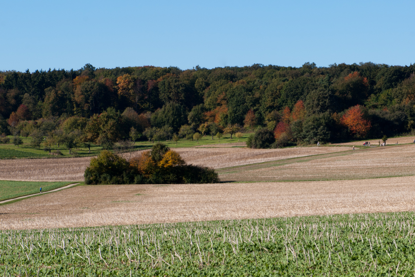 Herbstlandschaft