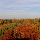 Herbstlandschaft