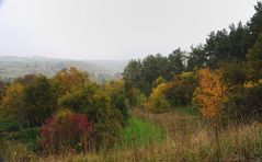 herbstlandschaft (8)