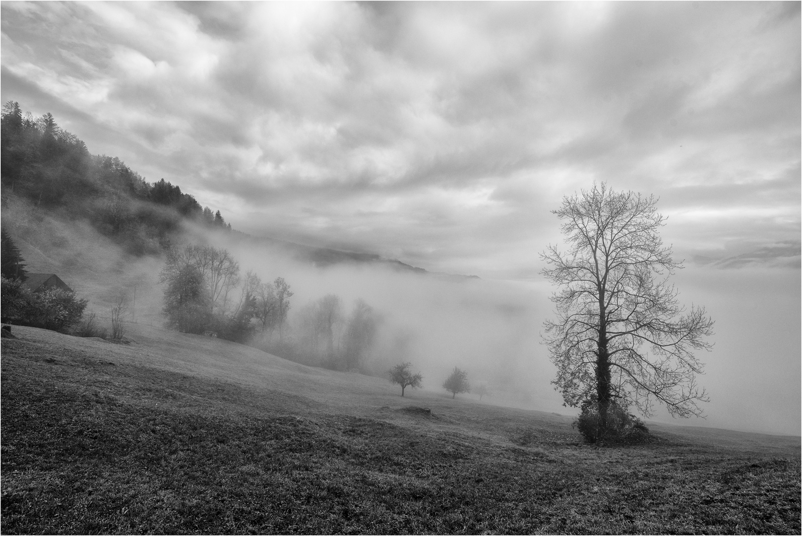 Herbstlandschaft