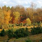 Herbstlandschaft