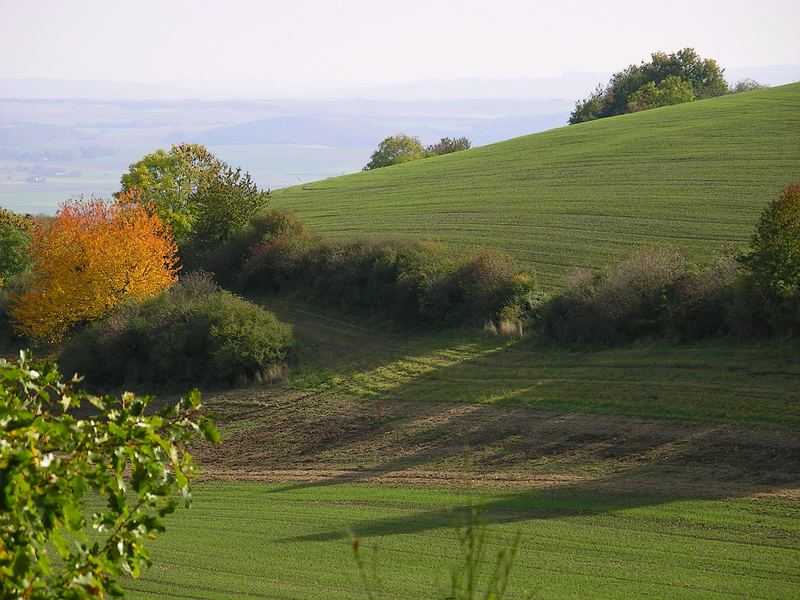 Herbstlandschaft