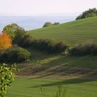 Herbstlandschaft