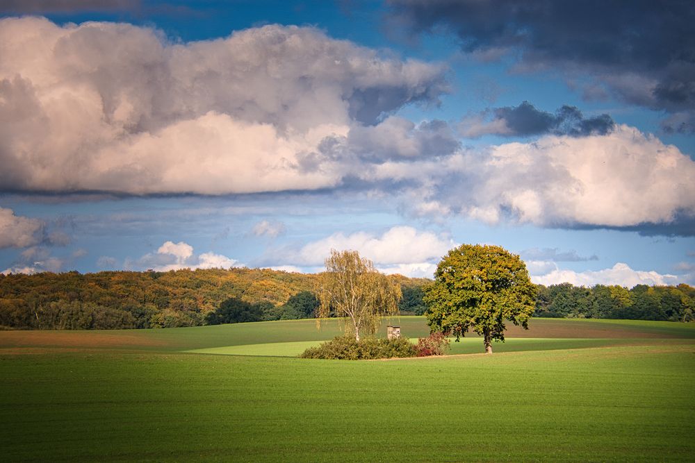 Herbstlandschaft