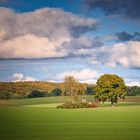 Herbstlandschaft