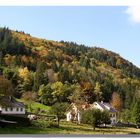 Herbstlandschaft