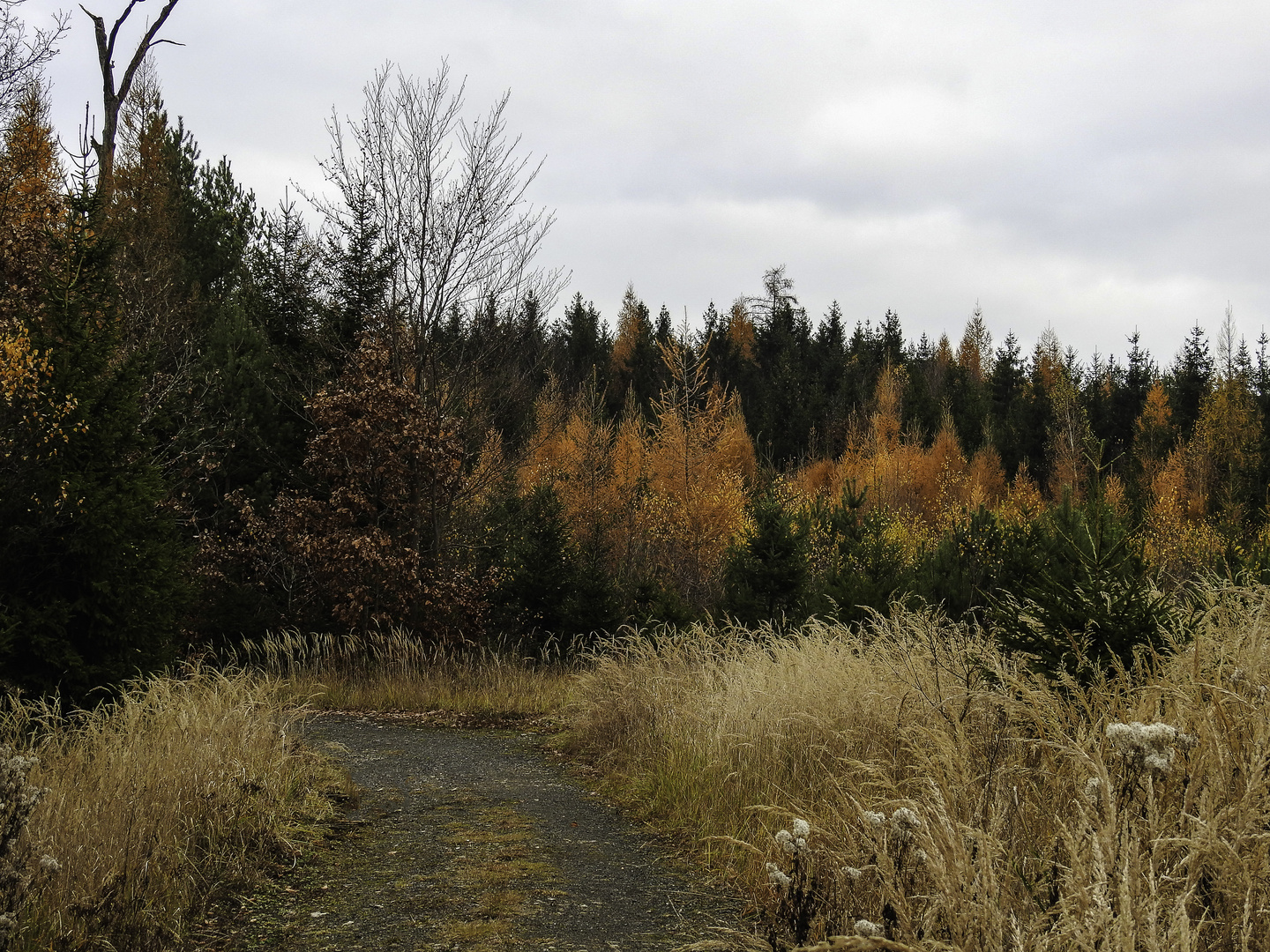 Herbstlandschaft