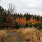 Herbstlandschaft