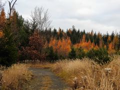 Herbstlandschaft