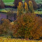 Herbstlandschaft