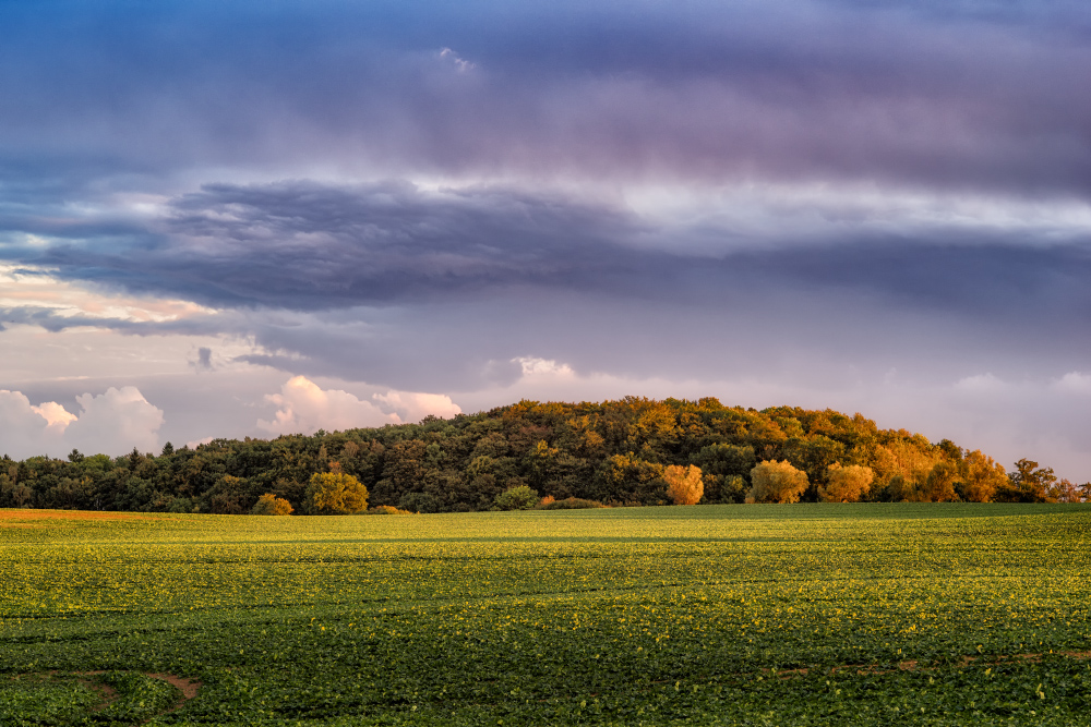 Herbstlandschaft