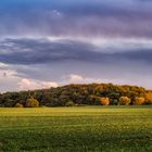 Herbstlandschaft