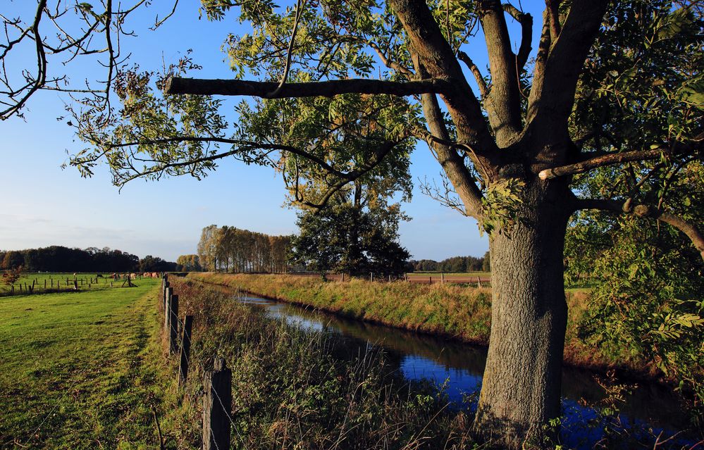 Herbstlandschaft