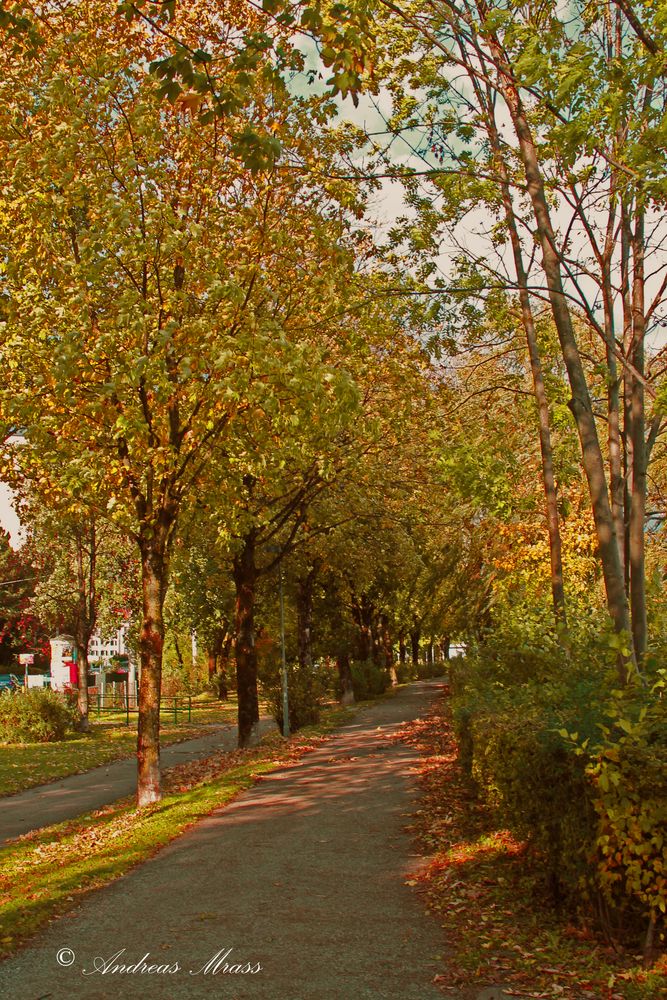 Herbstlandschaft