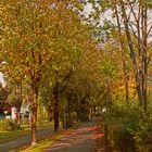 Herbstlandschaft