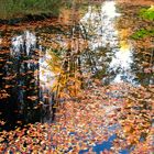 Herbstlandschaft