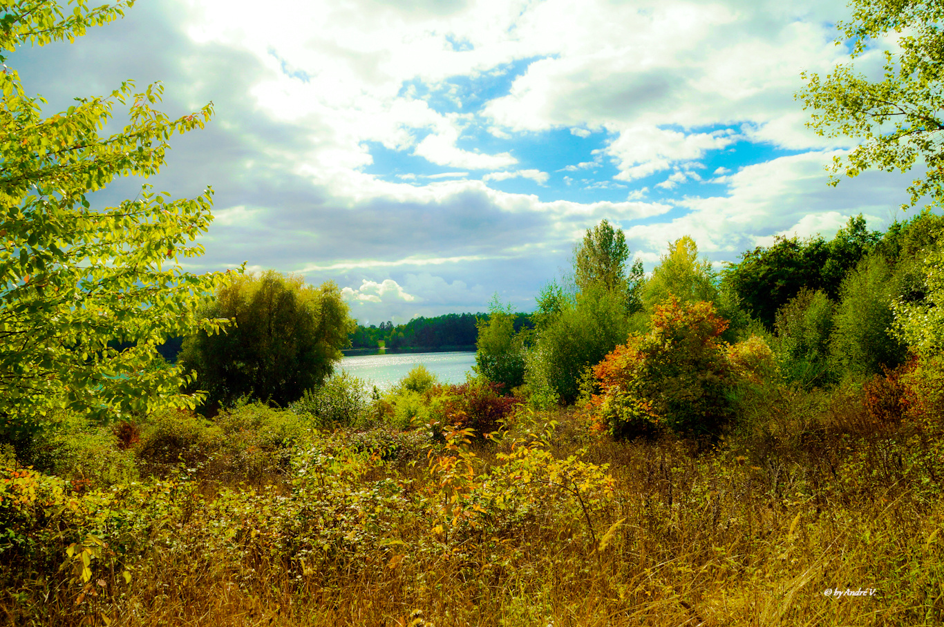 Herbstlandschaft