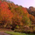 Herbstlandschaft