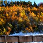 Herbstlandschaft