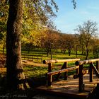 Herbstlandschaft