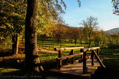 Herbstlandschaft