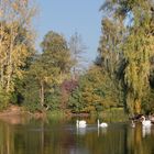 herbstlandschaft