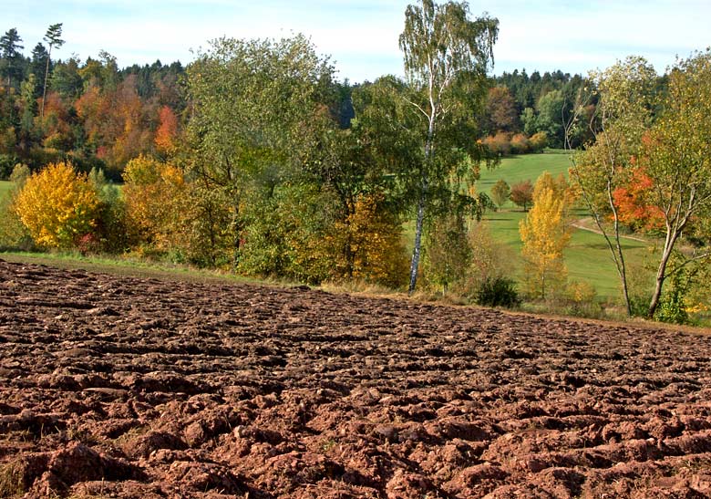 Herbstlandschaft