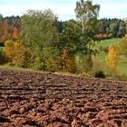 Herbstlandschaft