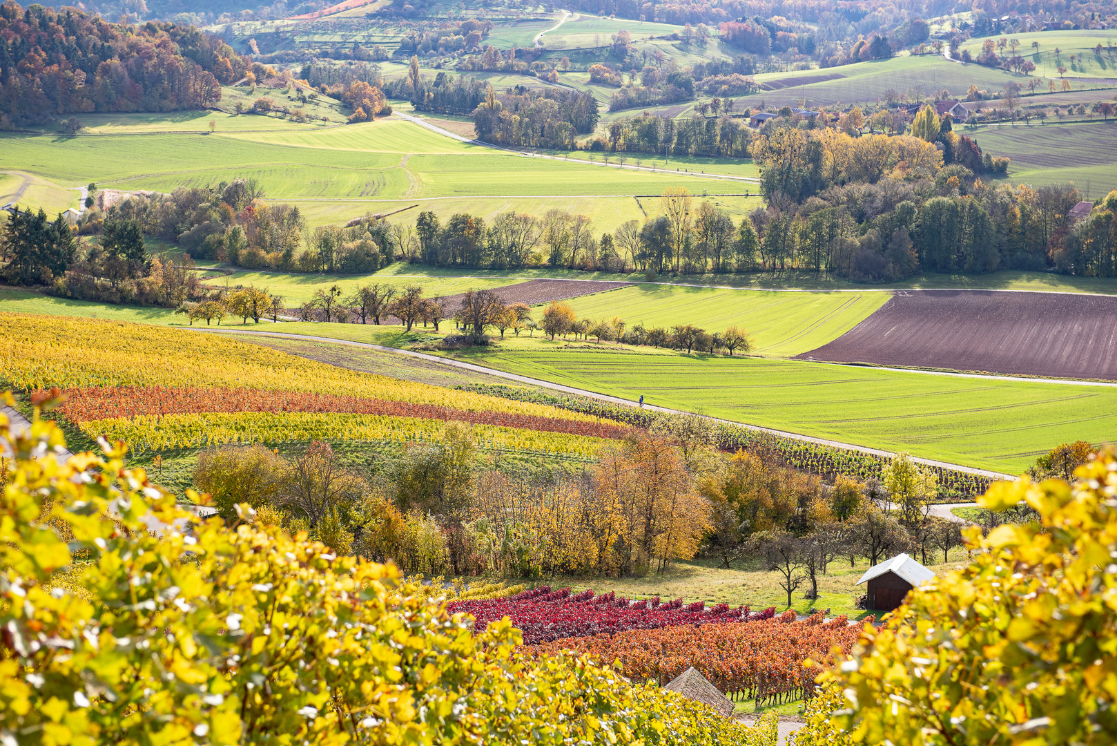 Herbstlandschaft