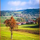 Herbstlandschaft