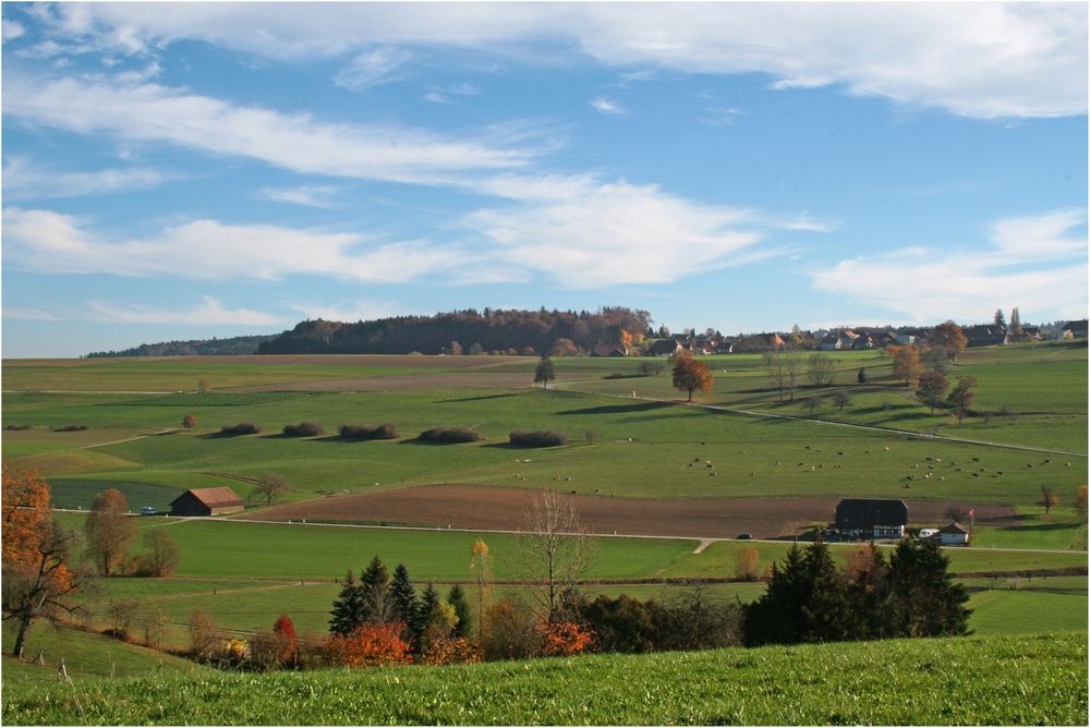 Herbstlandschaft