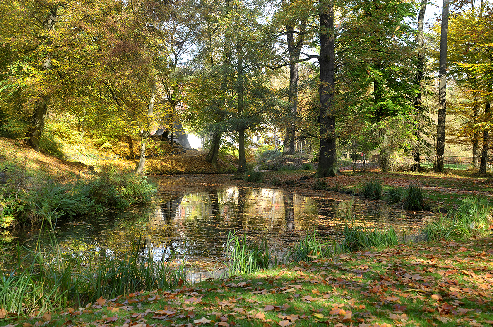 Herbstlandschaft