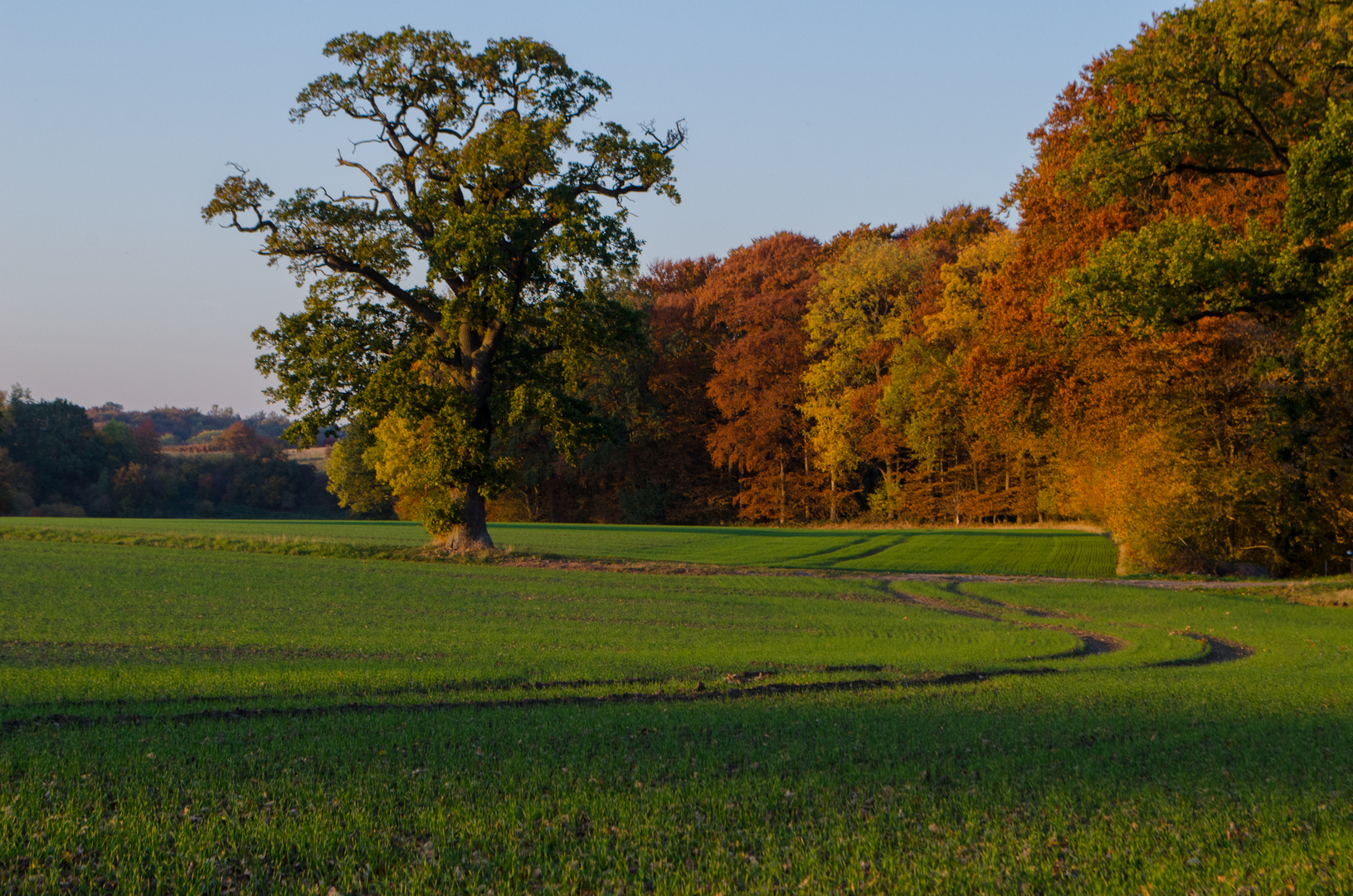 Herbstlandschaft