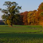 Herbstlandschaft