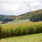 herbstlandschaft