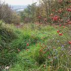 Herbstlandschaft