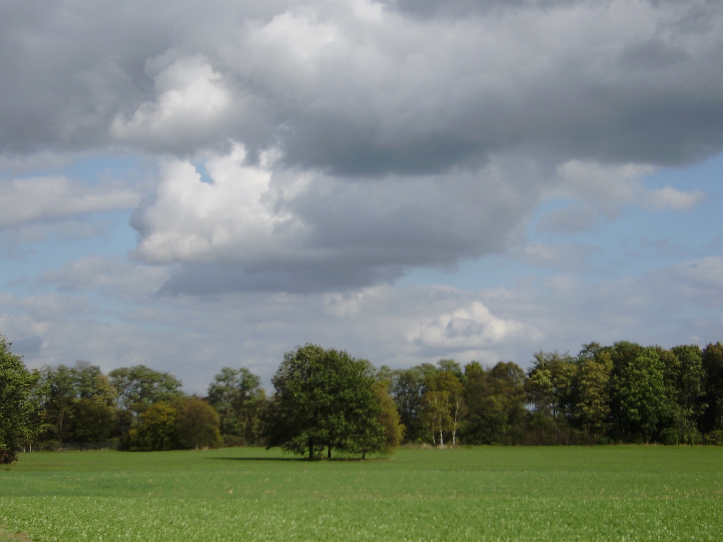 Herbstlandschaft