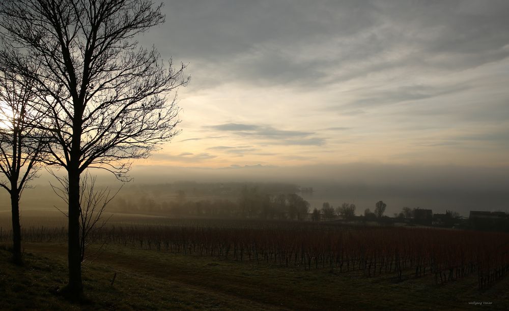 Herbstlandschaft am Bodensee