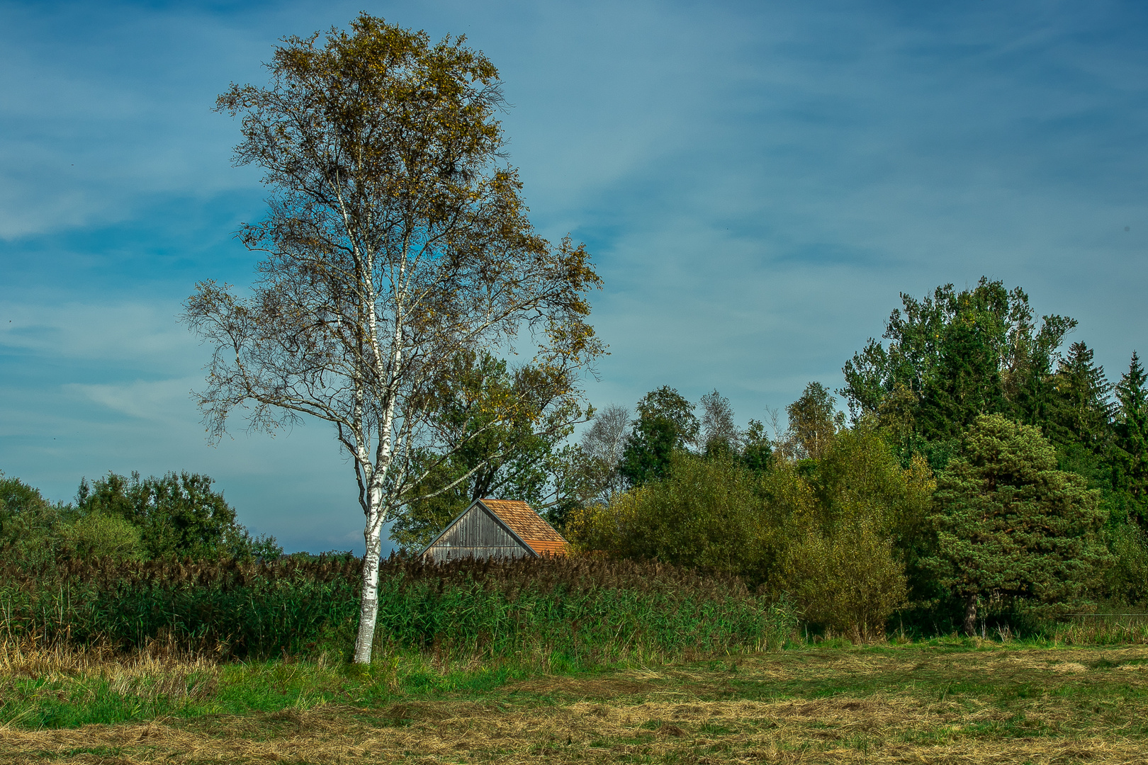 Herbstlandschaft am Federsee