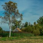 Herbstlandschaft am Federsee